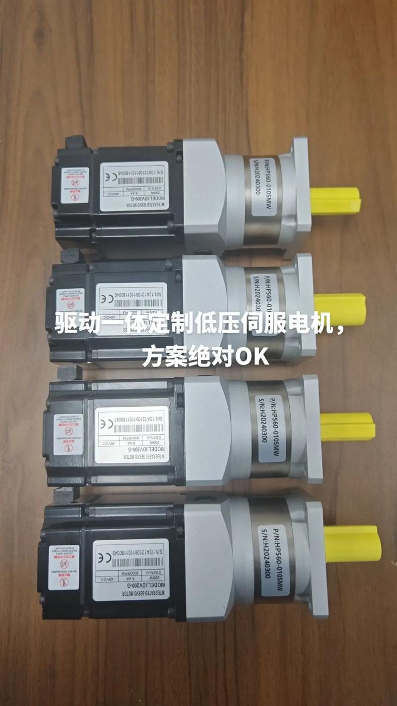 南京低壓伺服電機哪里買好
