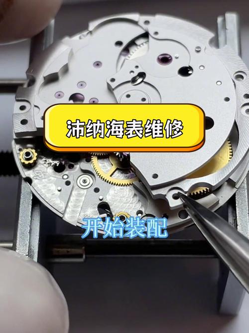 沛納海維修天津，沛納海維修視頻