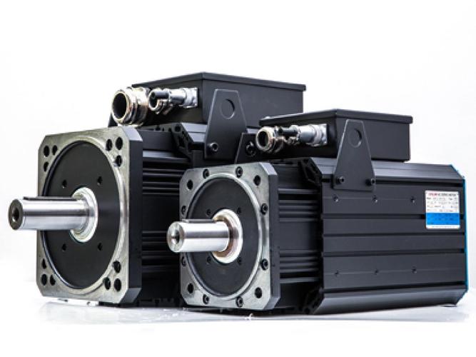 溫州三相伺服電機