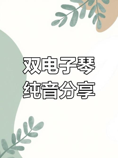 鐳射60分鐘雙電子琴dj