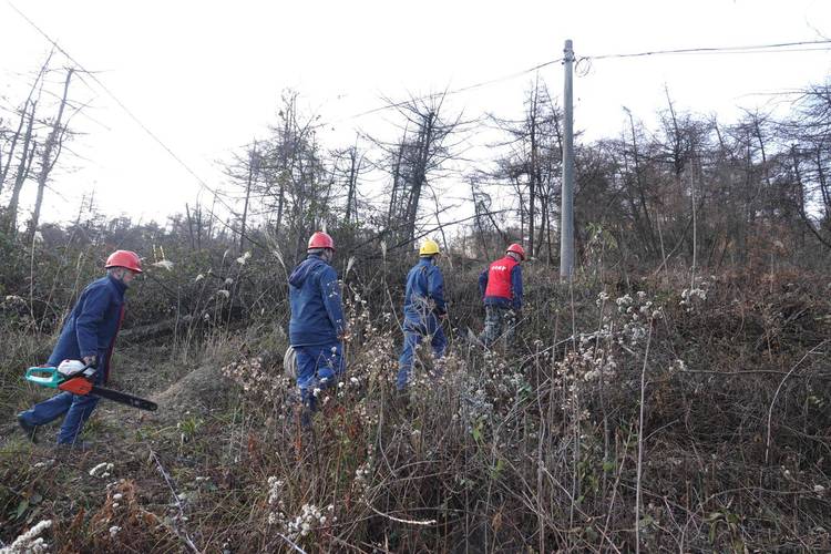 慶元伺服電機維修電話地址在哪里，慶元電子廠招聘信息